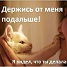 Аватара пользователя