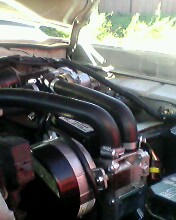 IMG0007A.jpg