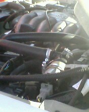IMG0005A.jpg