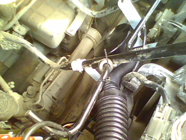IMG0073A.jpg