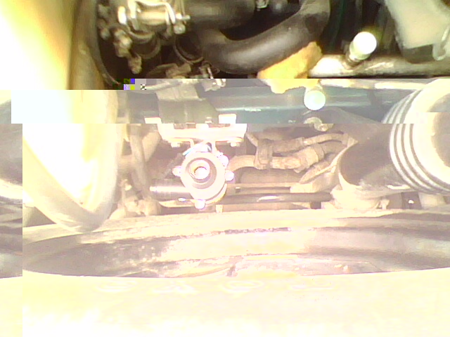IMG0078A.jpg