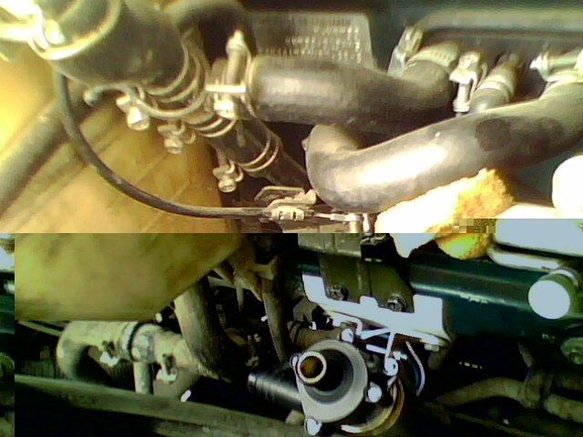 IMG0079A.jpg