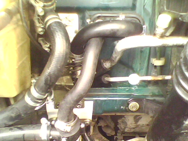 IMG0084A.jpg