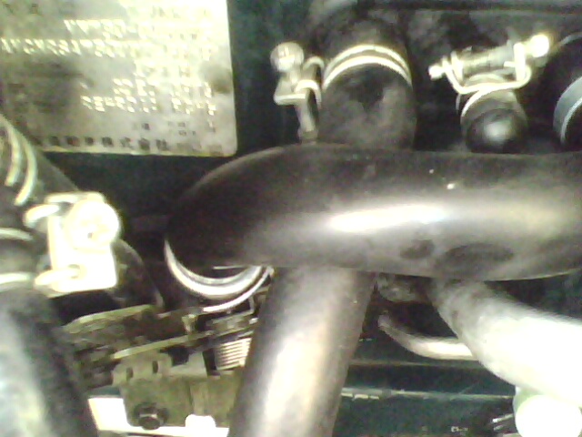 IMG0086A.jpg