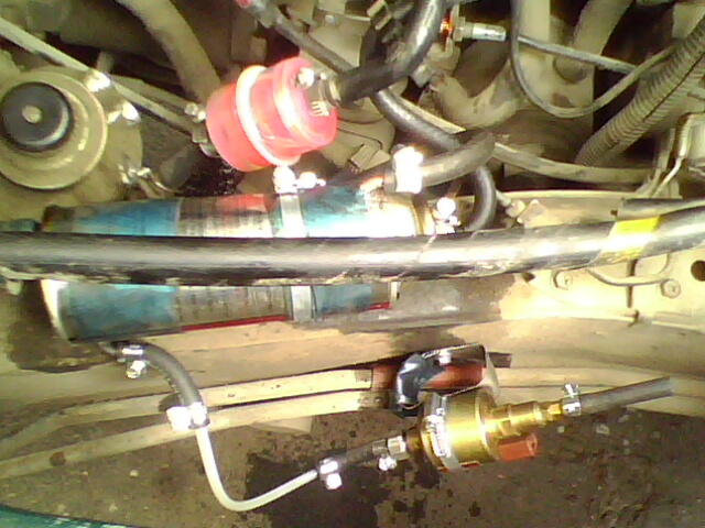 IMG0104A.jpg