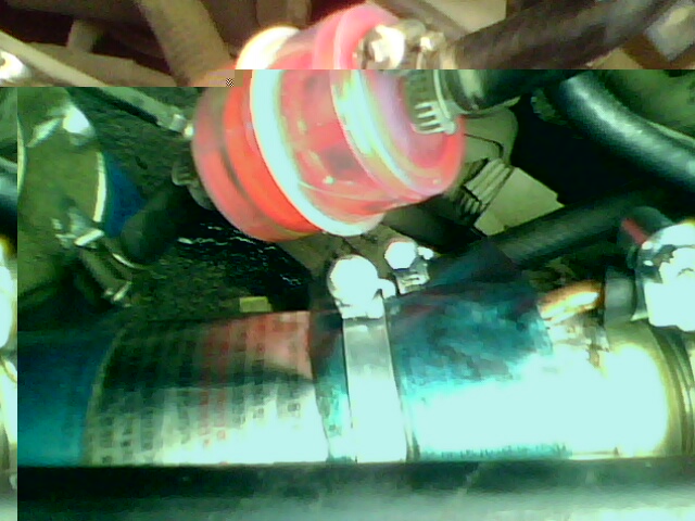 IMG0107A.jpg