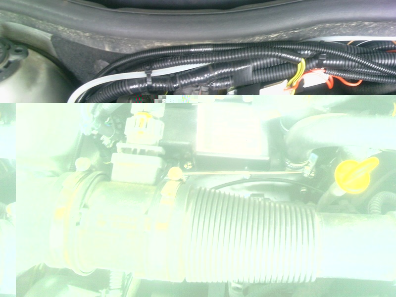 20110803_017.jpg