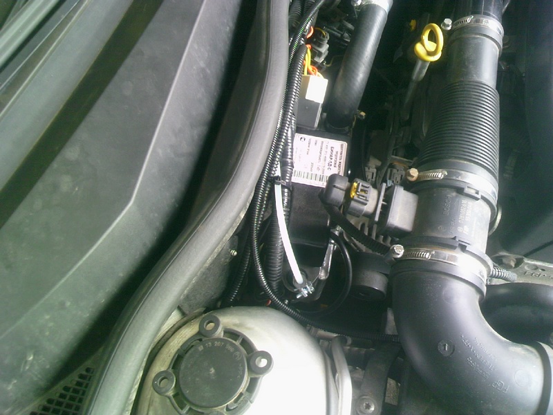 20110803_018.jpg