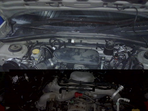03112011099.jpg