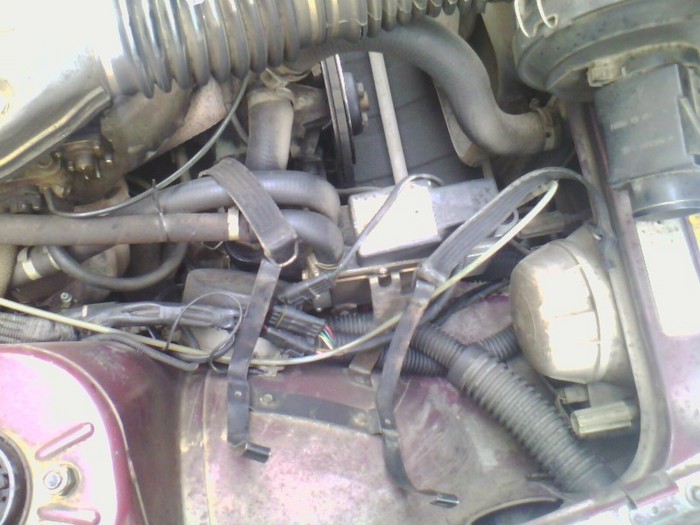 view5.jpg