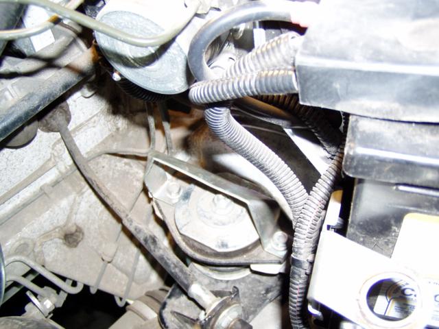 5_640x480.jpg