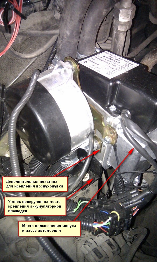 IMAG1338-1.jpg