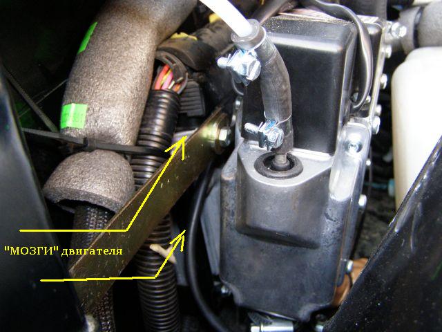 PA290170.JPG