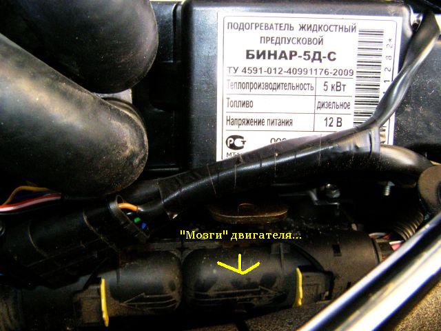 PA290177.JPG