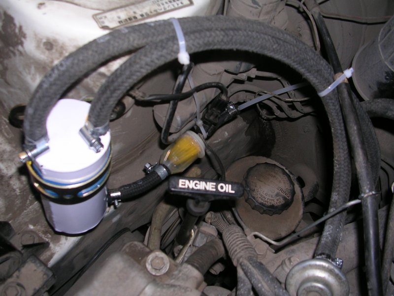DSCN1776.jpg