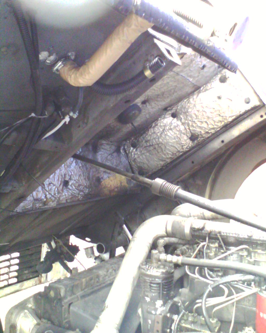 IMG0036A.jpg