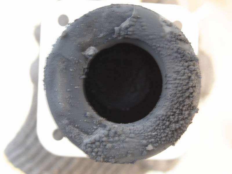 PA101681.JPG