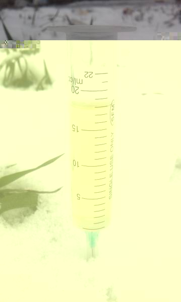 IMAG0100.jpg