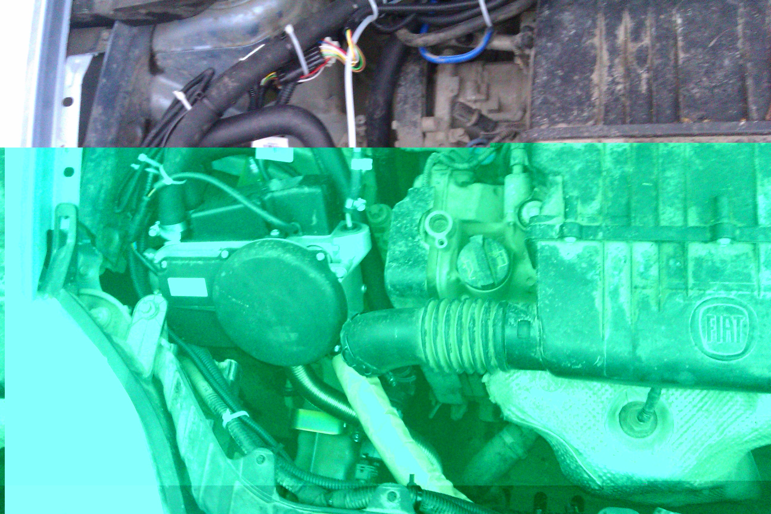 IMAG0116.jpg