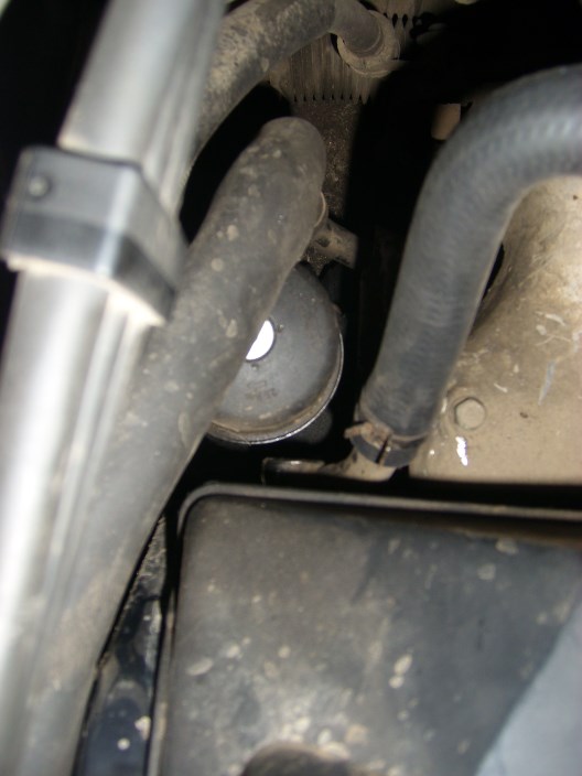 STP60007 (528 x 704).jpg