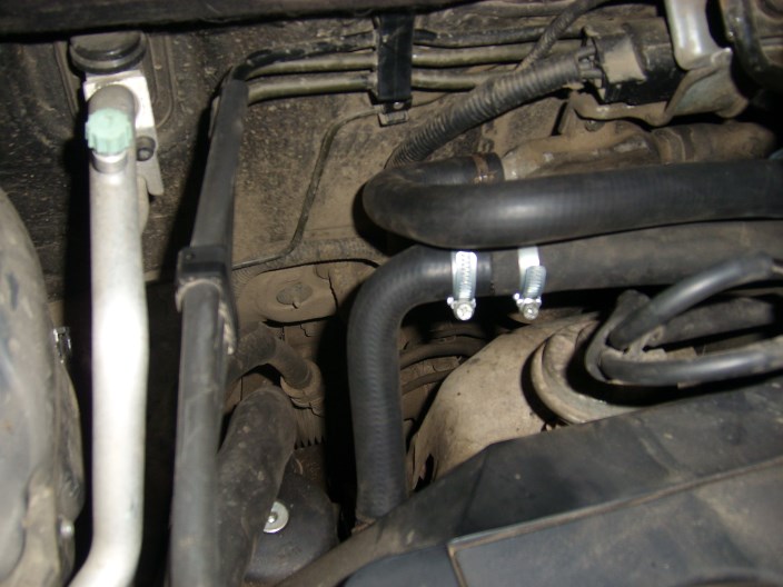 STP60006 (704 x 528).jpg