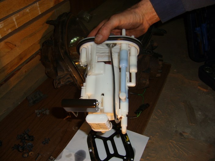 STP60004 (704 x 528).jpg