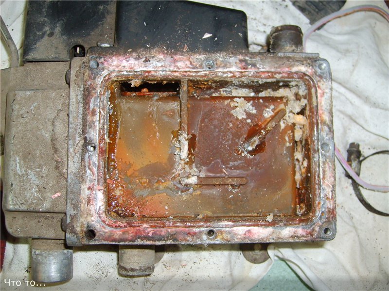 63cc2055b8a5.jpg