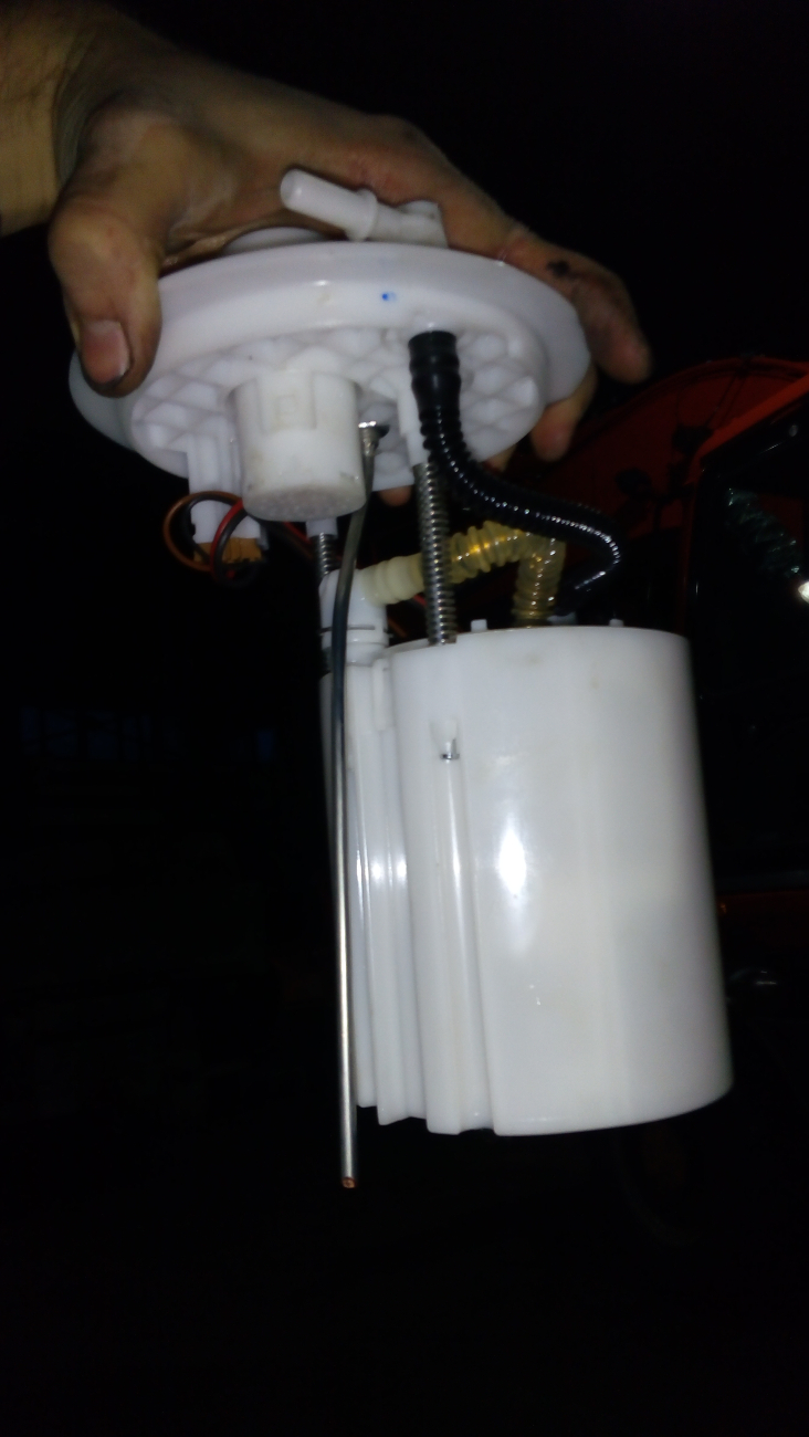 IMG_20161120_152123.jpg