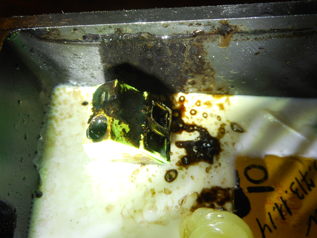 DSCN3287.JPG