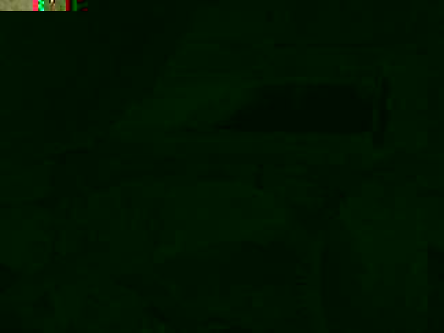 18122010269-2.jpg