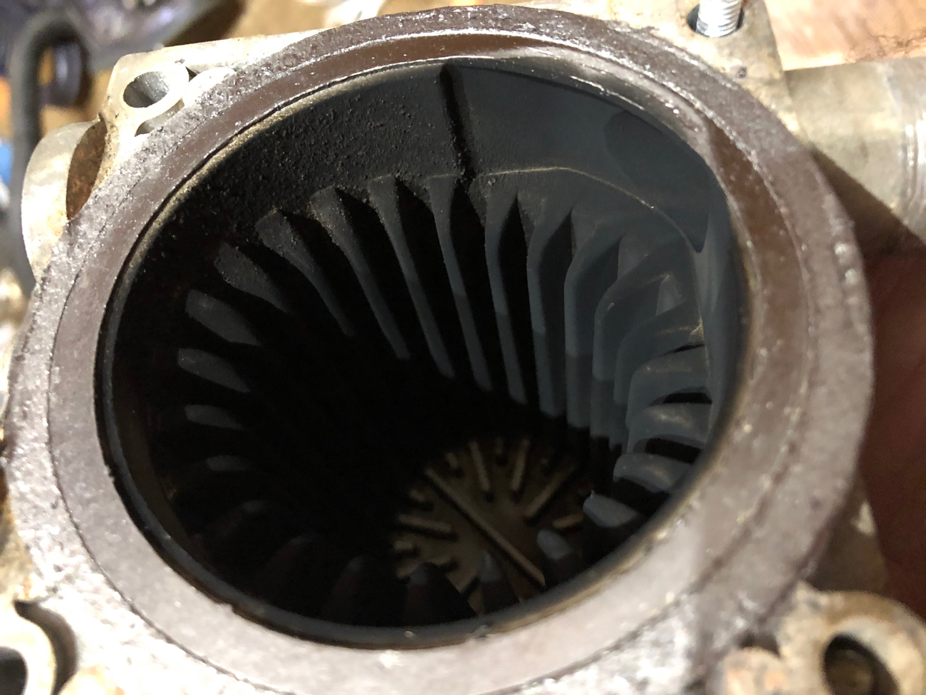 E7C7D399-7B66-44E9-BA05-DCBB78BEC341.jpeg