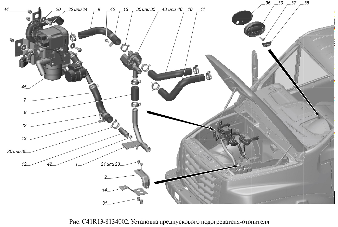 gazon-next-c41r13-8134002.jpg
